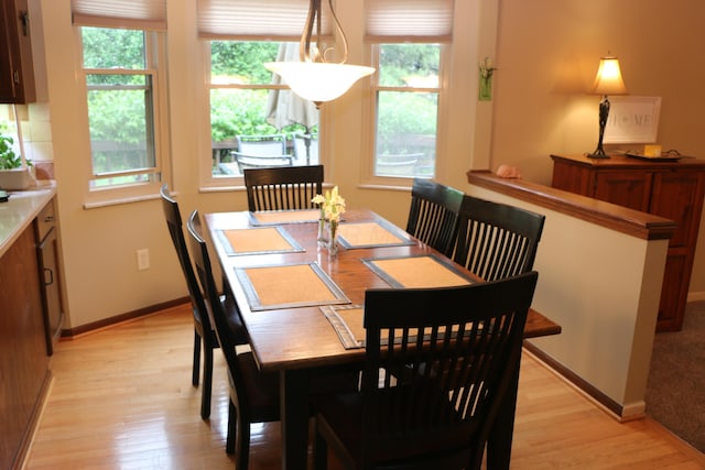 10160 Wellington Dr, Pickerington, OH 43147 - dining room with light wood-style floors, baseboards, and a wealth of natural light
