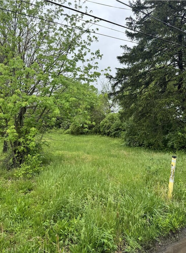 0 Elwood Ave Lot 108, Columbus OH, 43207 land for sale