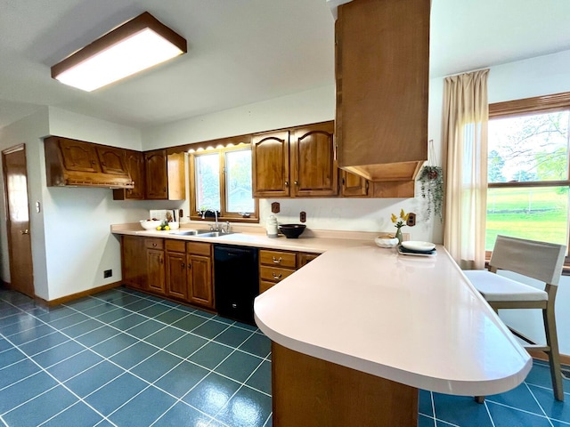 kitchen with black dishwasher, a peninsula, a healthy amount of sunlight, and a sink