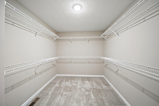 walk in closet with carpet