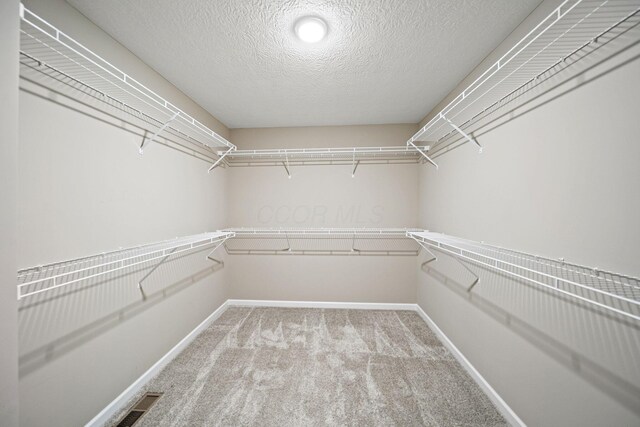 walk in closet with carpet