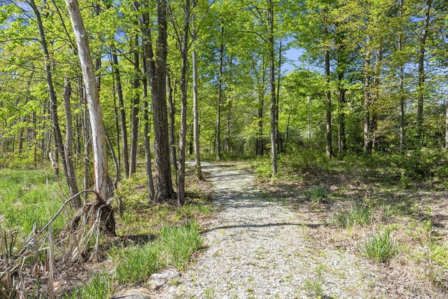 view of road featuring a view of trees