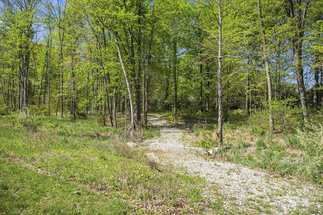 view of local wilderness featuring a forest view