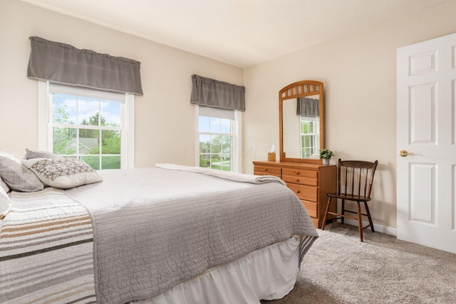 bedroom with carpet floors