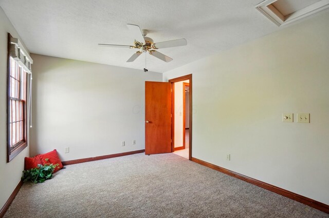 2584 Rittenour Ct, Blacklick, OH 43004 - photo 61