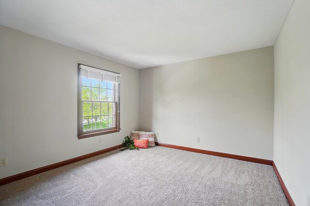 2584 Rittenour Ct, Blacklick, OH 43004 - photo 63