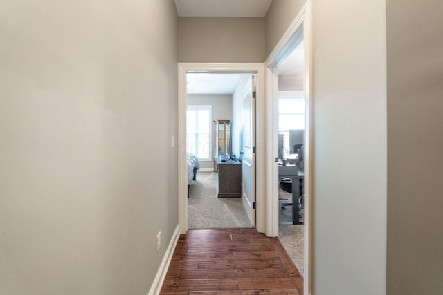 corridor featuring baseboards and dark wood-type flooring