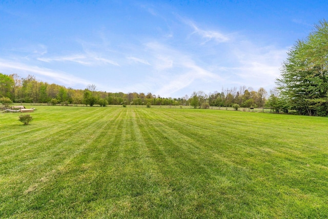 view of yard featuring a rural view