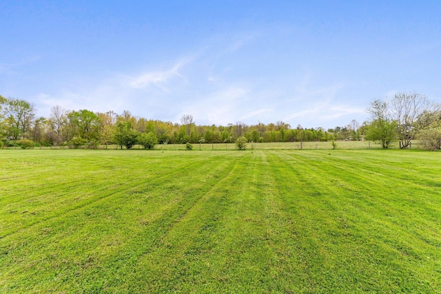 view of yard featuring a rural view