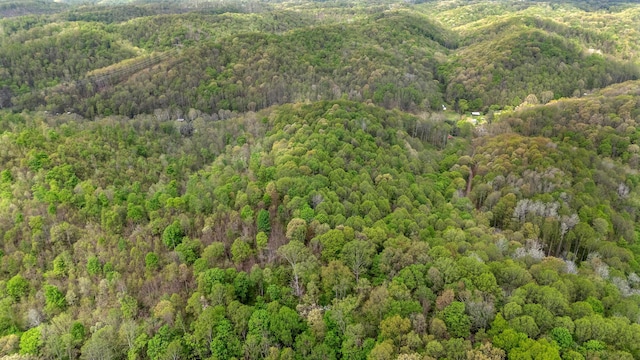 24796 E Fork Rd, Laurelville, OH 43135 - aerial view with a wooded view