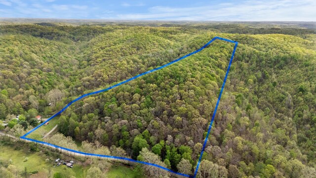 24796 E Fork Rd, Laurelville, OH 43135 - drone / aerial view featuring a wooded view