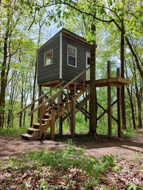 24796 E Fork Rd, Laurelville, OH 43135 - exterior space
