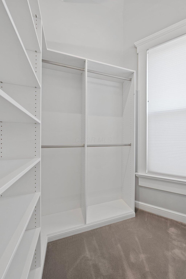 884 Neil Ave, Columbus, OH 43215 - walk in closet featuring carpet floors