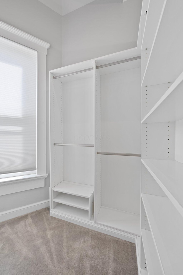 884 Neil Ave, Columbus, OH 43215 - walk in closet with carpet