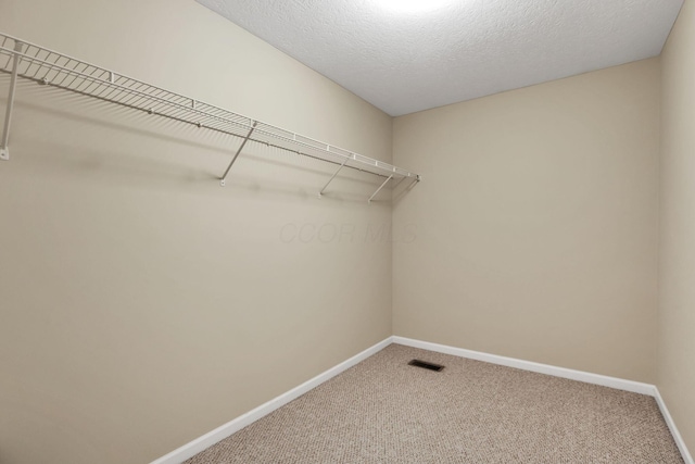 walk in closet with carpet floors and visible vents
