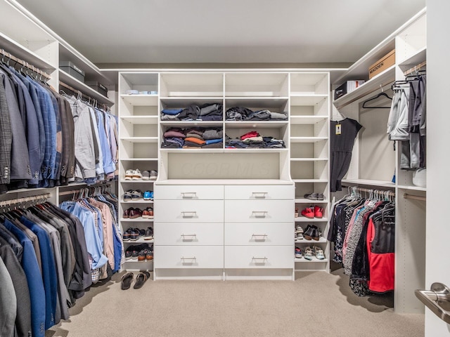 walk in closet with carpet flooring