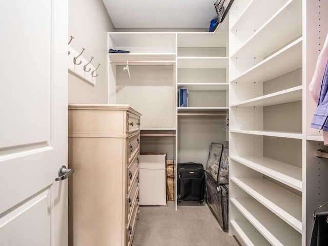 spacious closet featuring light carpet