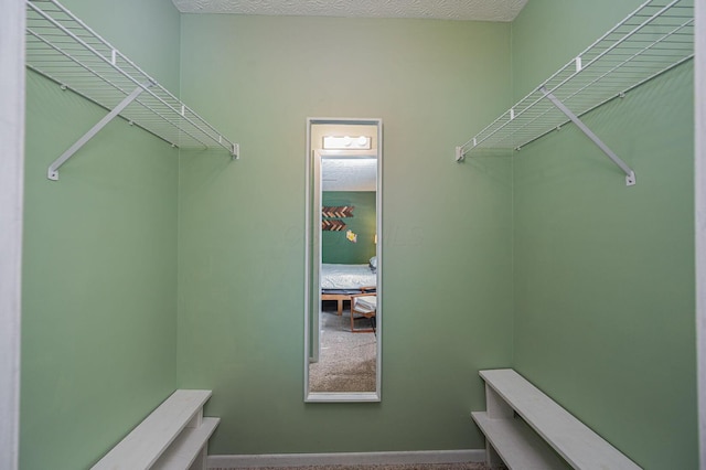 walk in closet with carpet flooring