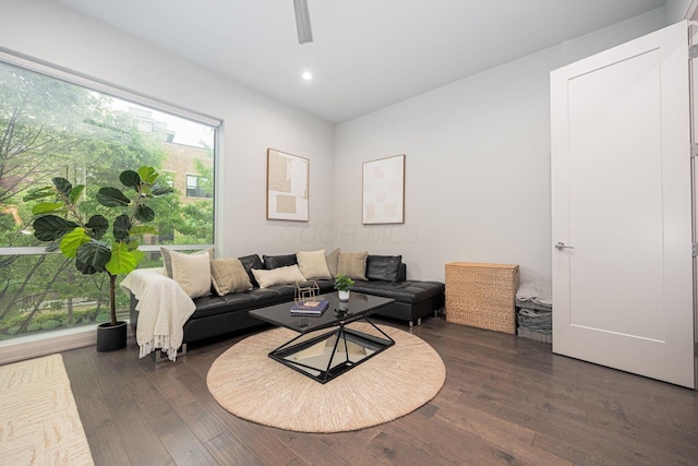 living room with dark wood-type flooring and recessed lighting