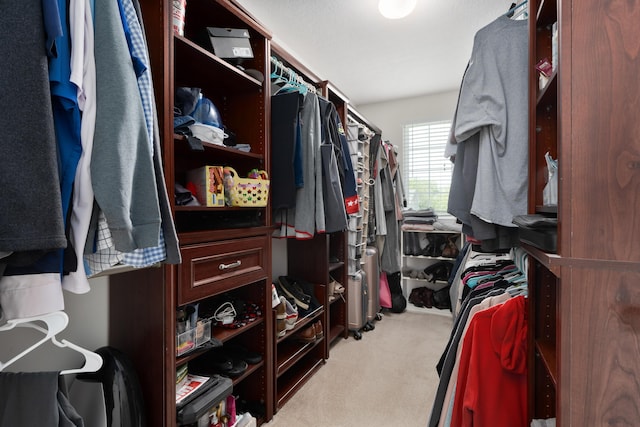 spacious closet featuring carpet floors