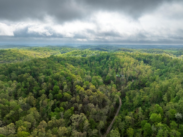 drone / aerial view with a forest view