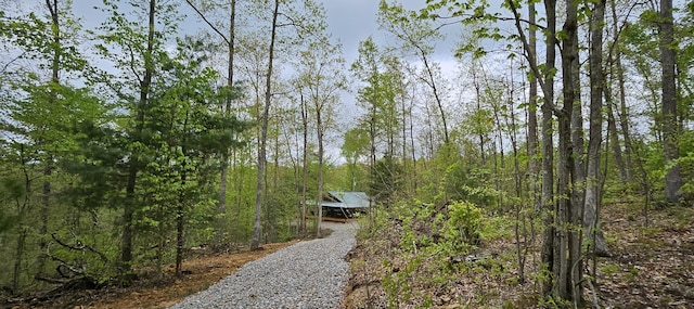 view of property's community featuring driveway and a view of trees