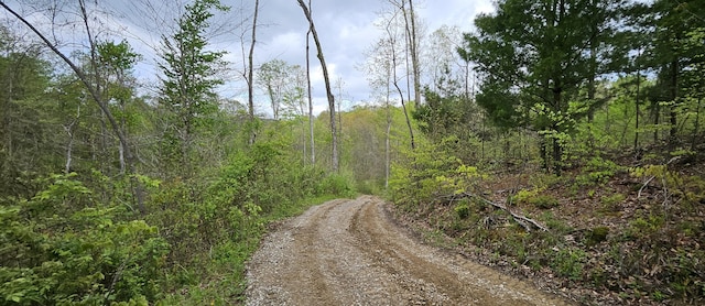 view of road with a view of trees