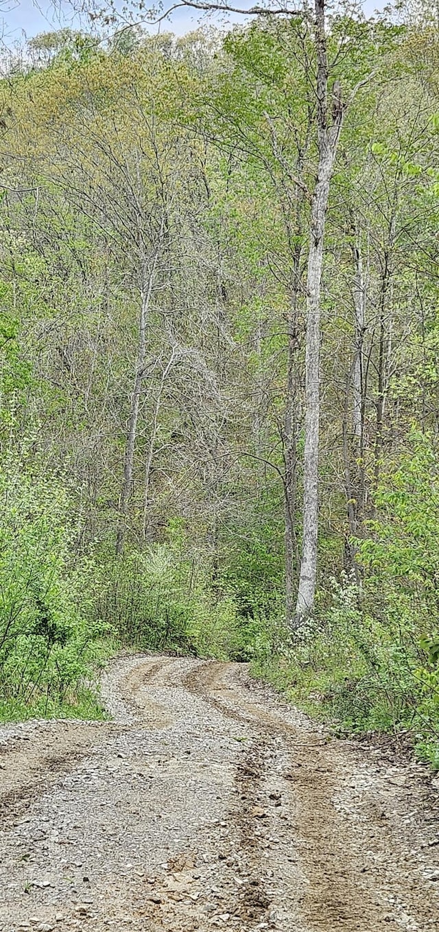 view of landscape featuring a view of trees