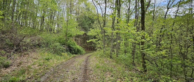 view of landscape with a forest view