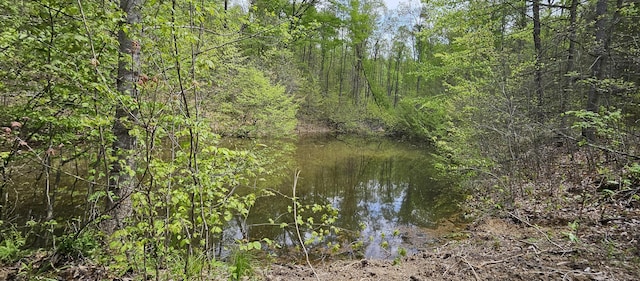 view of nature with a view of trees