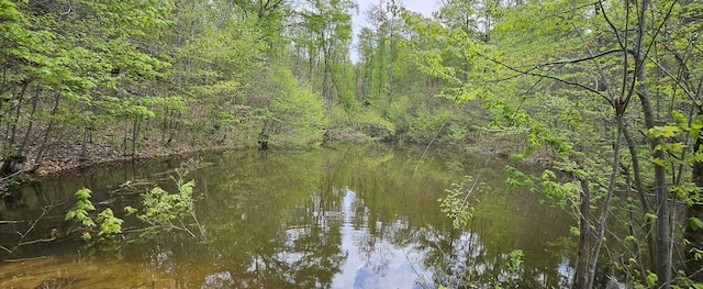 property view of water with a view of trees