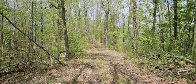 view of landscape with a wooded view