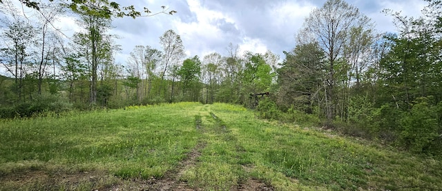 view of landscape featuring a wooded view