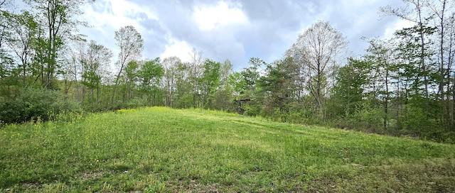 view of local wilderness