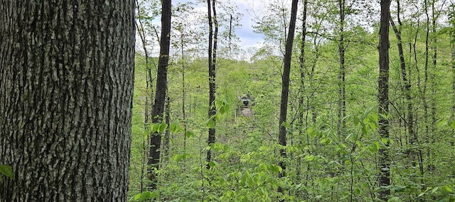 view of nature featuring a forest view