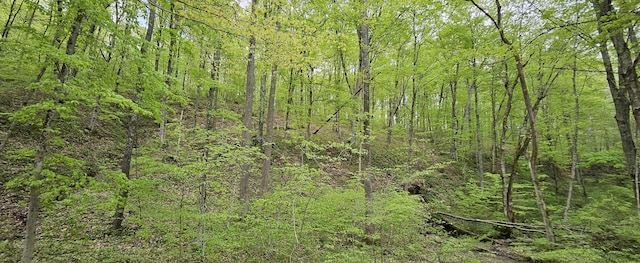 view of local wilderness featuring a forest view