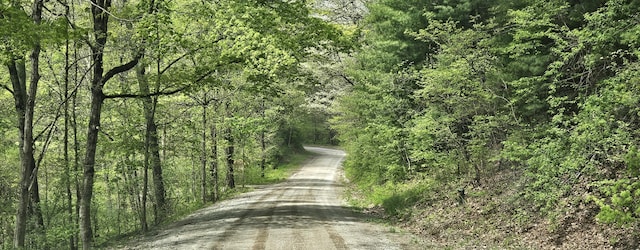 view of street with a view of trees