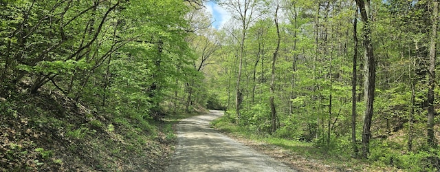 view of road featuring a forest view