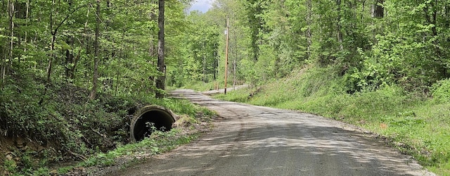 view of road featuring a view of trees