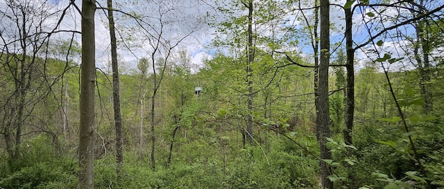 view of landscape with a wooded view