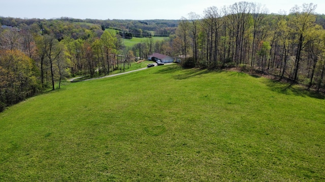 view of yard featuring a view of trees