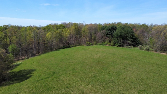 view of yard with a wooded view