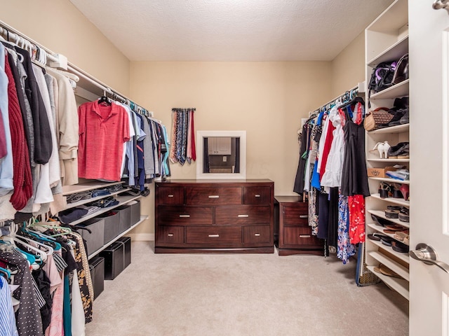 spacious closet featuring carpet flooring
