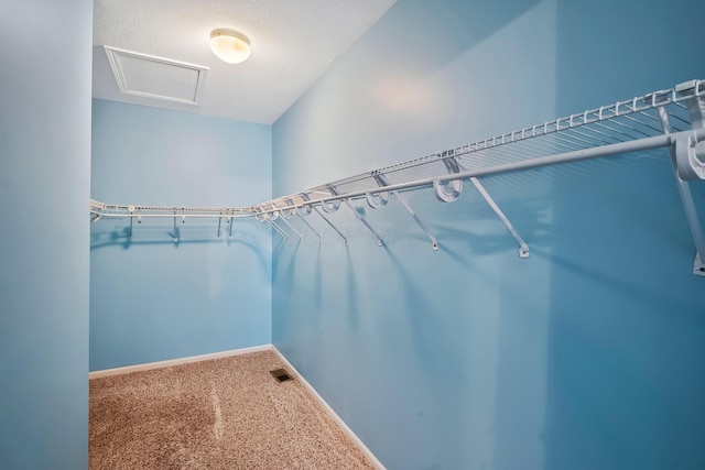 walk in closet featuring carpet floors and visible vents