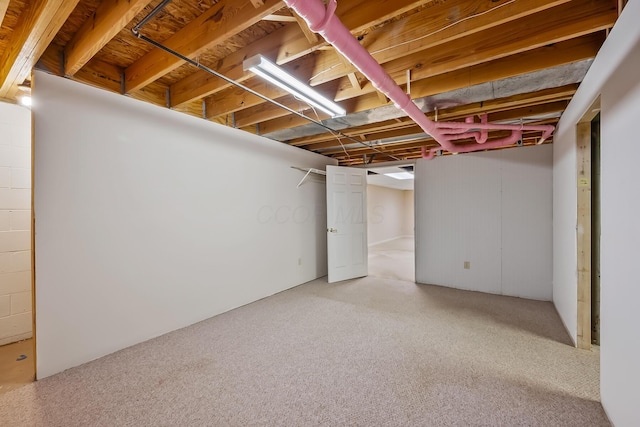 finished basement featuring carpet