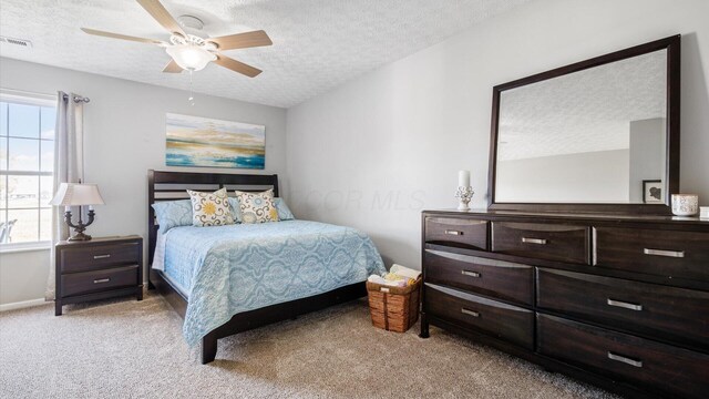 42 Ellington Commons Ln, Granville, OH 43023 - bedroom featuring a textured ceiling, ceiling fan, multiple windows, and light carpet