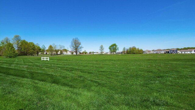 42 Ellington Commons Ln, Granville, OH 43023 - view of yard