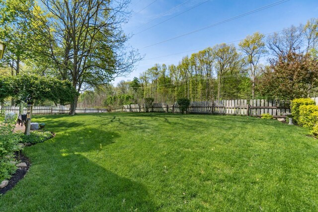 view of yard with a fenced backyard