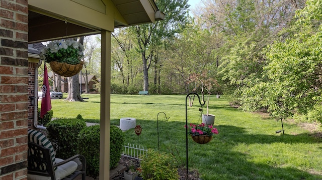 view of yard