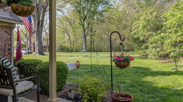 view of yard